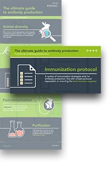 Polyclonal antibodies: from selection to purification