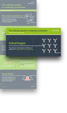 The advantages of hybridoma technology production
