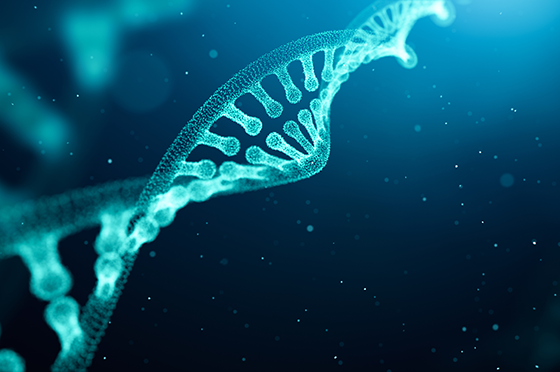 CRISPR Generated Models: The importance of considering model applications during design phases and the downstream services required for successful studies