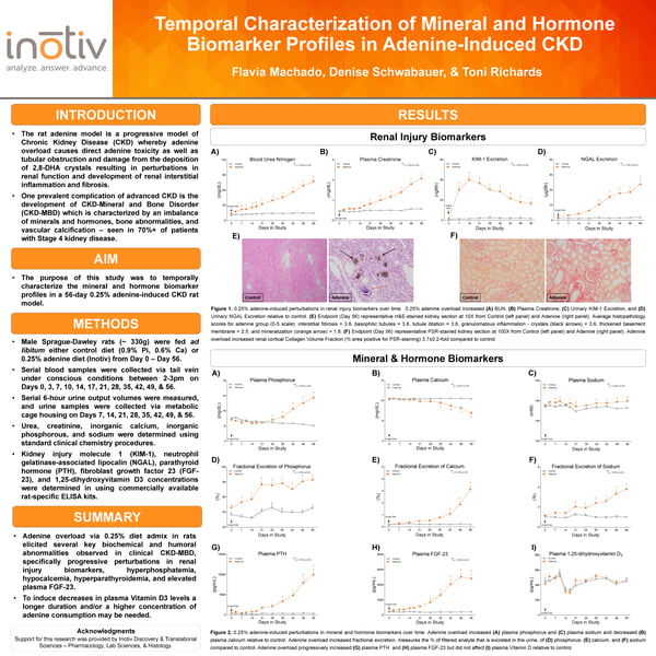 Adenine-Induced CKD_KeyStone Poster CKD