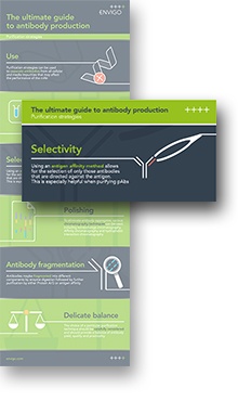 Antibody purification strategies