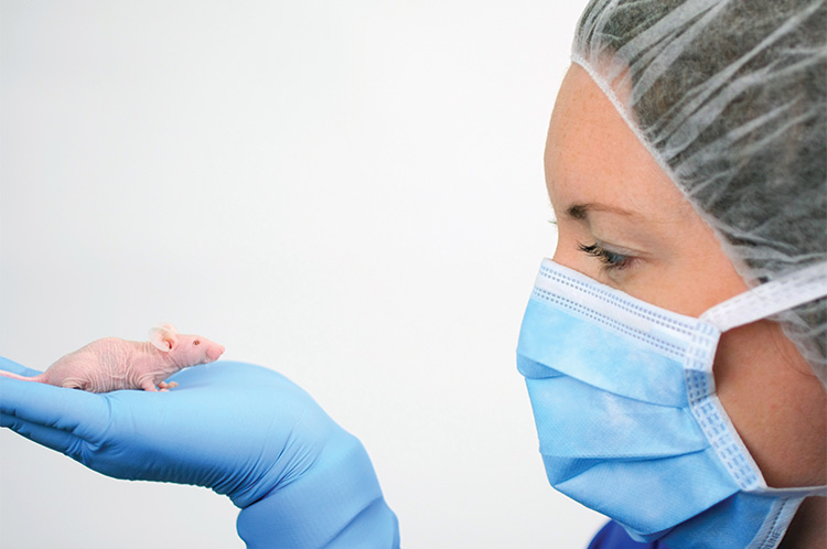 B0067 AACR EXH CONNECT landing page image