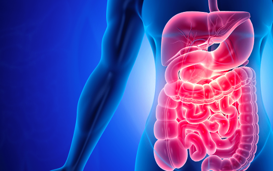 Not All IBD Models are Created Equally