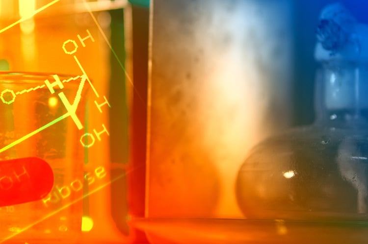 D0013 landing page image