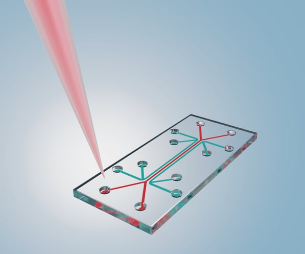 D0029 Organ on a chip image