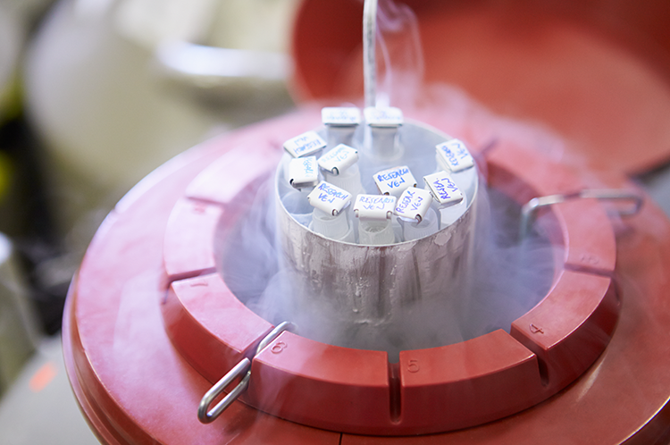 Cryopreservation is a proactive and preventative disaster mitigation strategy