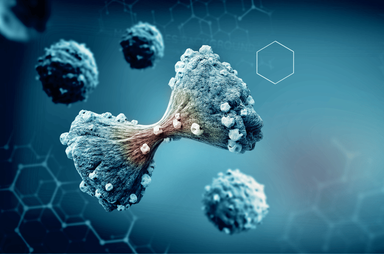 Leverage our experience to meet your research goals - partner with us today