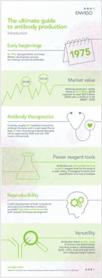 The ultimate guide to antibody production