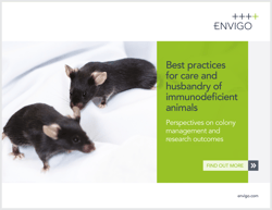 Best Practices for Care and Husbandry of Immunodeficient Animals