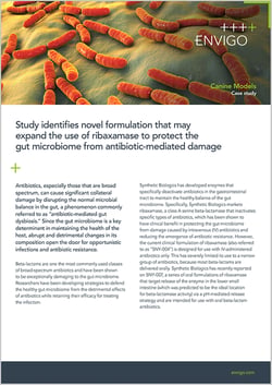 Study identifies novel formulation that may expand the use of ribaxamase to protect the gut microbiome from antibiotic-mediated damage
