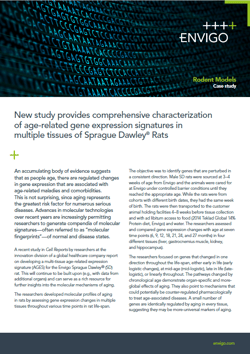 AGES study in Sprague Dawley rats