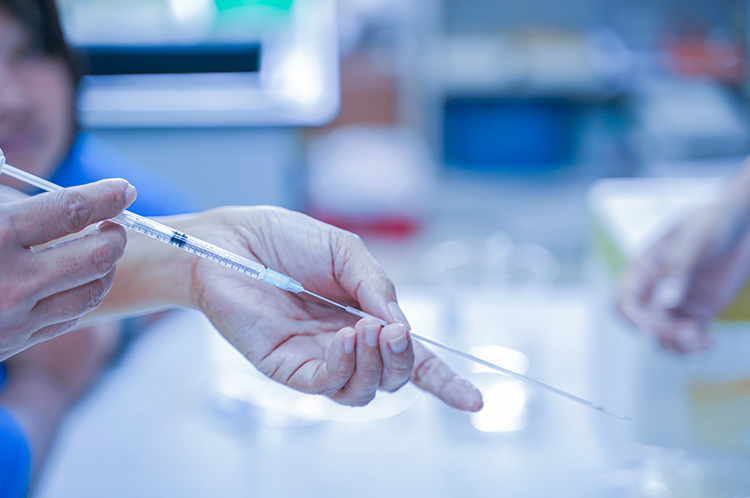 Learn more about Envigo's cryopreservation and contract breeding services