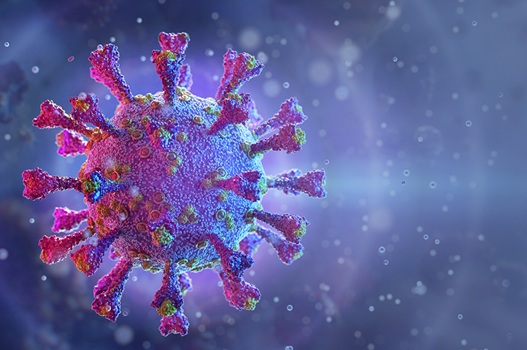 Learn more about inotiv's rodent models for SARS-CoV-2 research