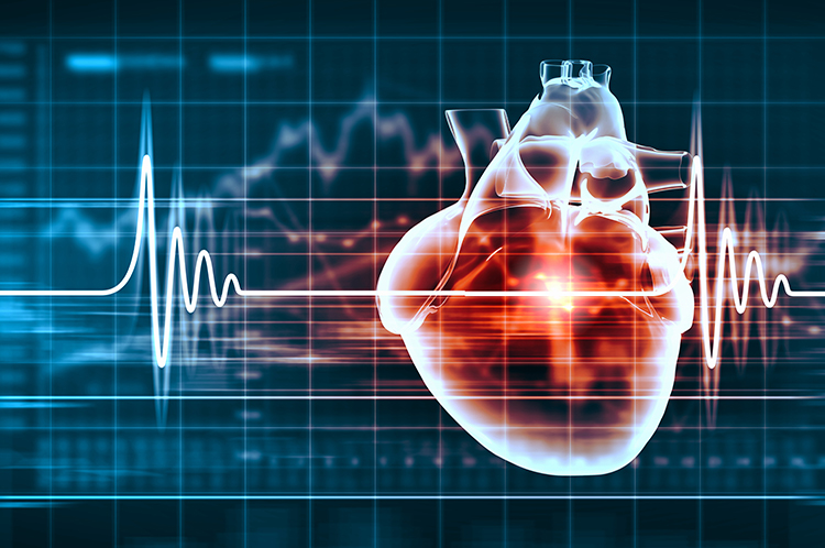 Keep learning during COVID-19 with our Surgical Cardiac Model tools.