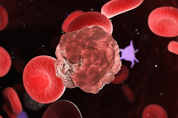 Are B-NDG mice ideal for your next study?