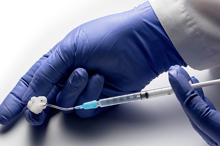 Scientific articles on high-quality surgically modified models