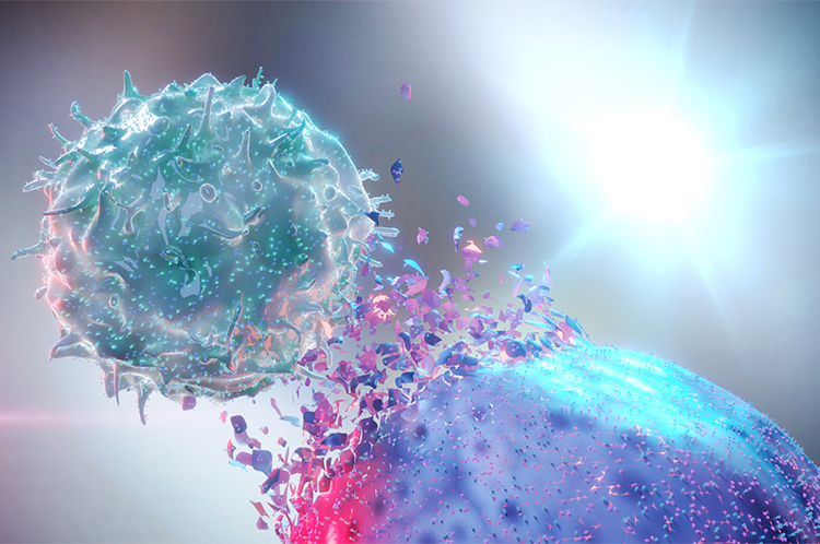 Envigo offers several animal models for cancer research and immunotherapy drug development.