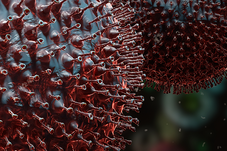 R1501 landing page image