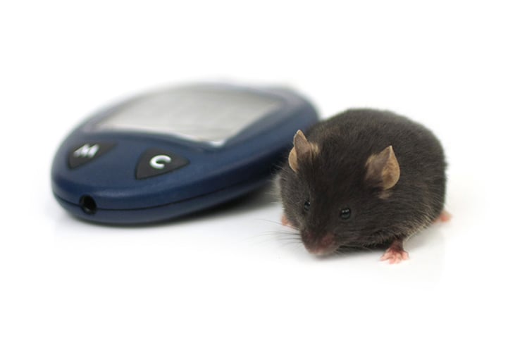 R1703 landing page image