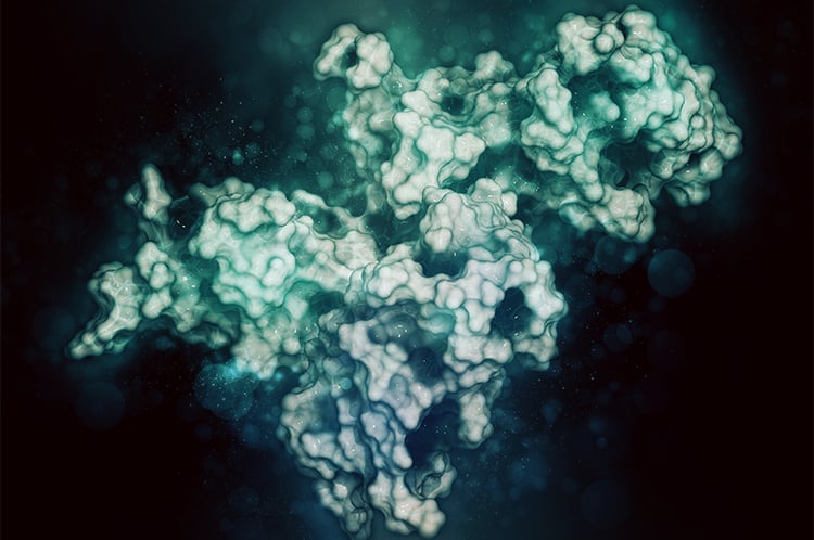 R558 landing page image