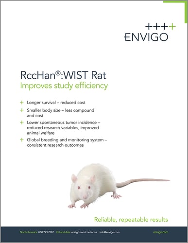 The RccHan®:WIST rat can improve multiple aspects of your next study from research results to animal welfare