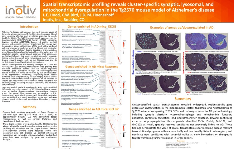 SfN 2026 Poster 28AUG2026