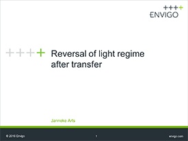 Reversal of light regime after transfer