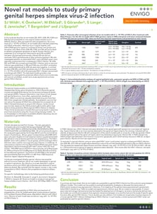 Novel rat models to study primary genital herpes simplex virus-2 infection