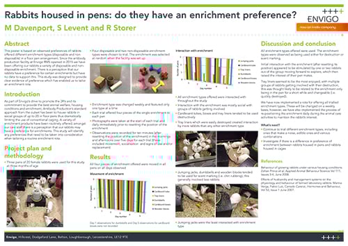 Rabbits housed in pens: do they have an enrichment preference