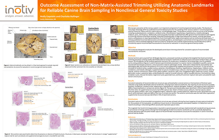 Inotiv-SciPos-Outcome-Assessment-of-Non-Matrix-Assisted-Trimming-Utilizing-Anatomic-Landmarks-for-Reliable-Canine-Brain-Sampling-in-Nonclinical-General-Toxicity-Studies