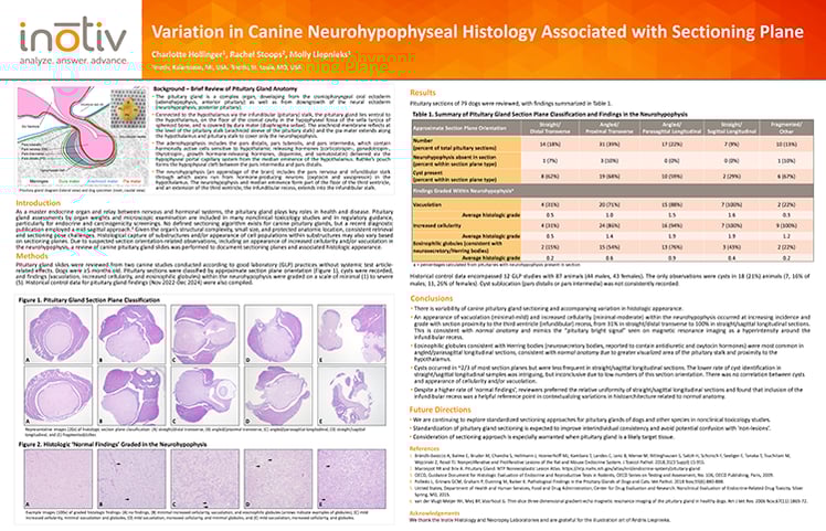 Inotiv-SciPos-Variation-in-Canine-Neurohypophyseal-Histology-Associated-with-Sectioning-Plane