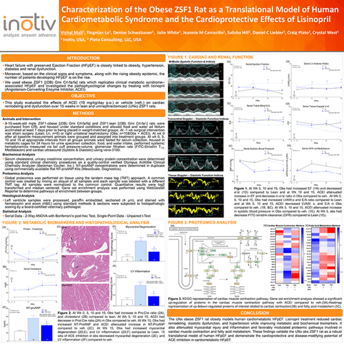 Scientific poster showing how the obese ZSF1 rat models cardiometabolic HFpEF and supports translational CVRM drug discovery