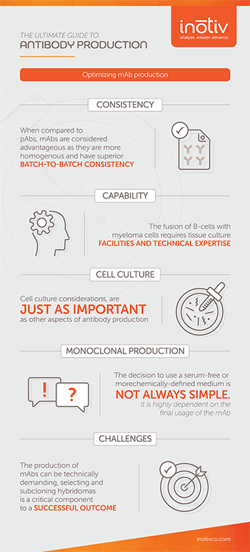 r749-Optimizing-monoclonal-antibody-production-infographic