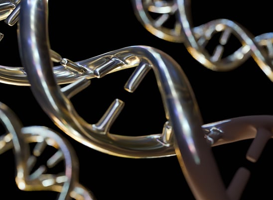genetic-tox-workshop-s0086