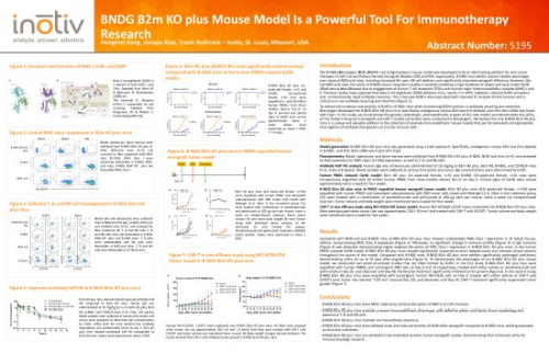 BNDG-B2m-KO-plus-Mouse-Model-Is-a-Powerful-Tool-For-Immunotherapy-Research
