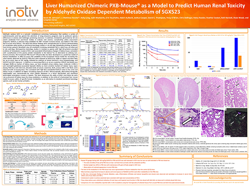 Liver_Humanized_Chimeric_PXB-Mouse_as_a_Model_to_Predict_Human_Renal_Toxicity_by_Aldehyde_Oxidase_Dependent_Metabolism_of_SGX523