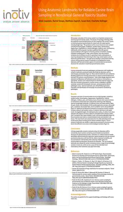 Using-Anatomic-Landmarks-for-Reliable-Canine-Brain-Sampling-in-Nonclinical-General-Toxicity-Studies
