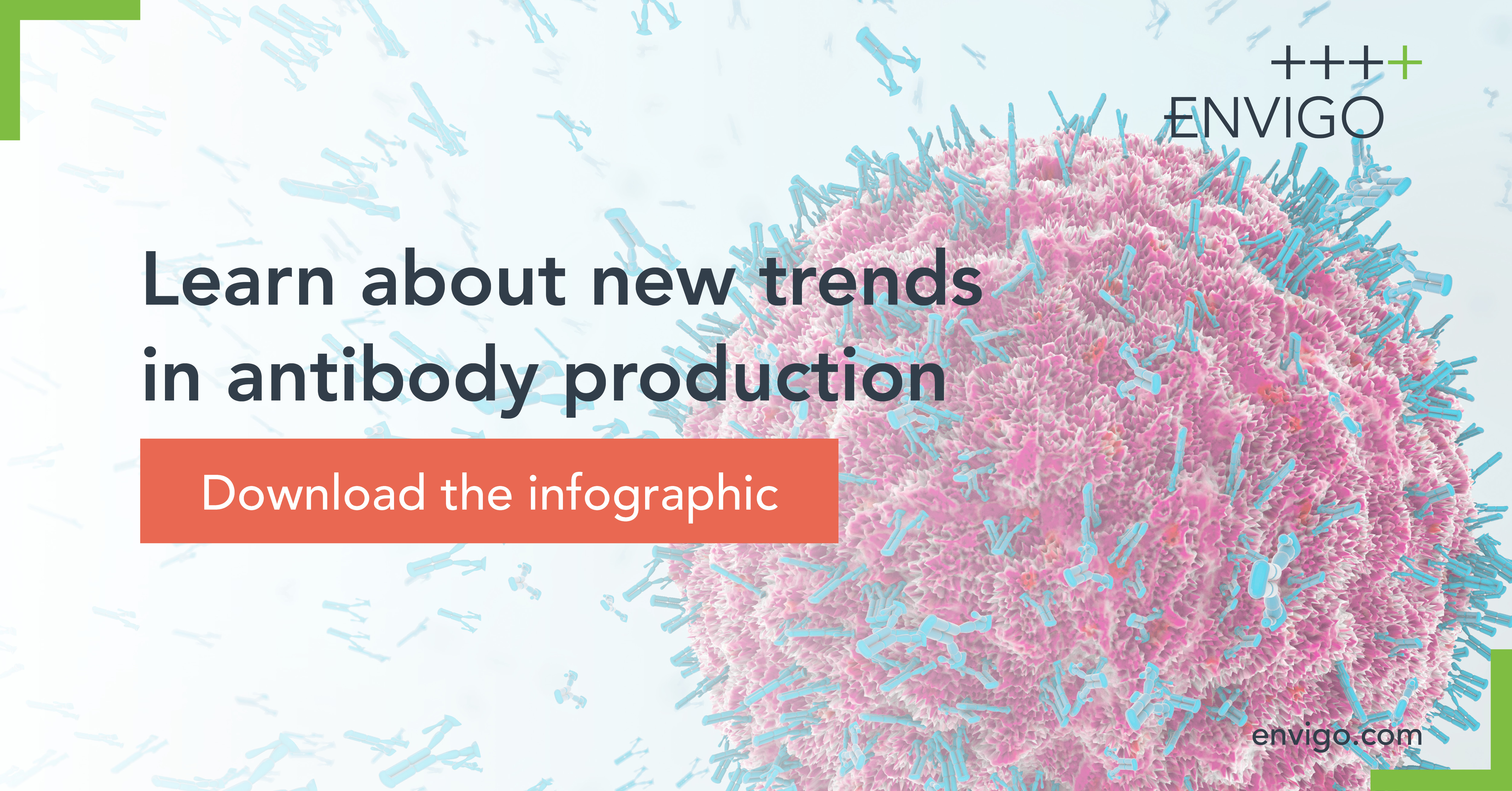 Igg P41 Antibody: The Ultimate Guide For Patients - e8gmv9d