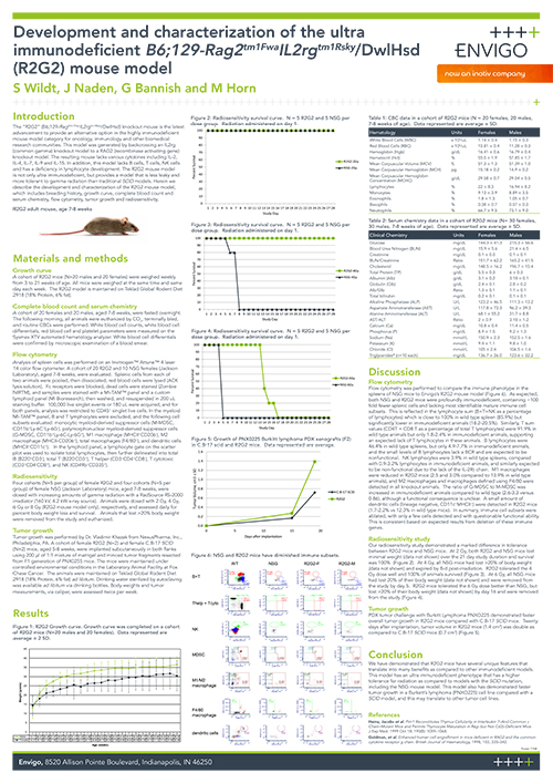 Development and characterization of the ultra immunodeficient B6;129-Rag2tm1FwaIL2rgtm1Rsky/DwlHsd (R2G2) mouse model