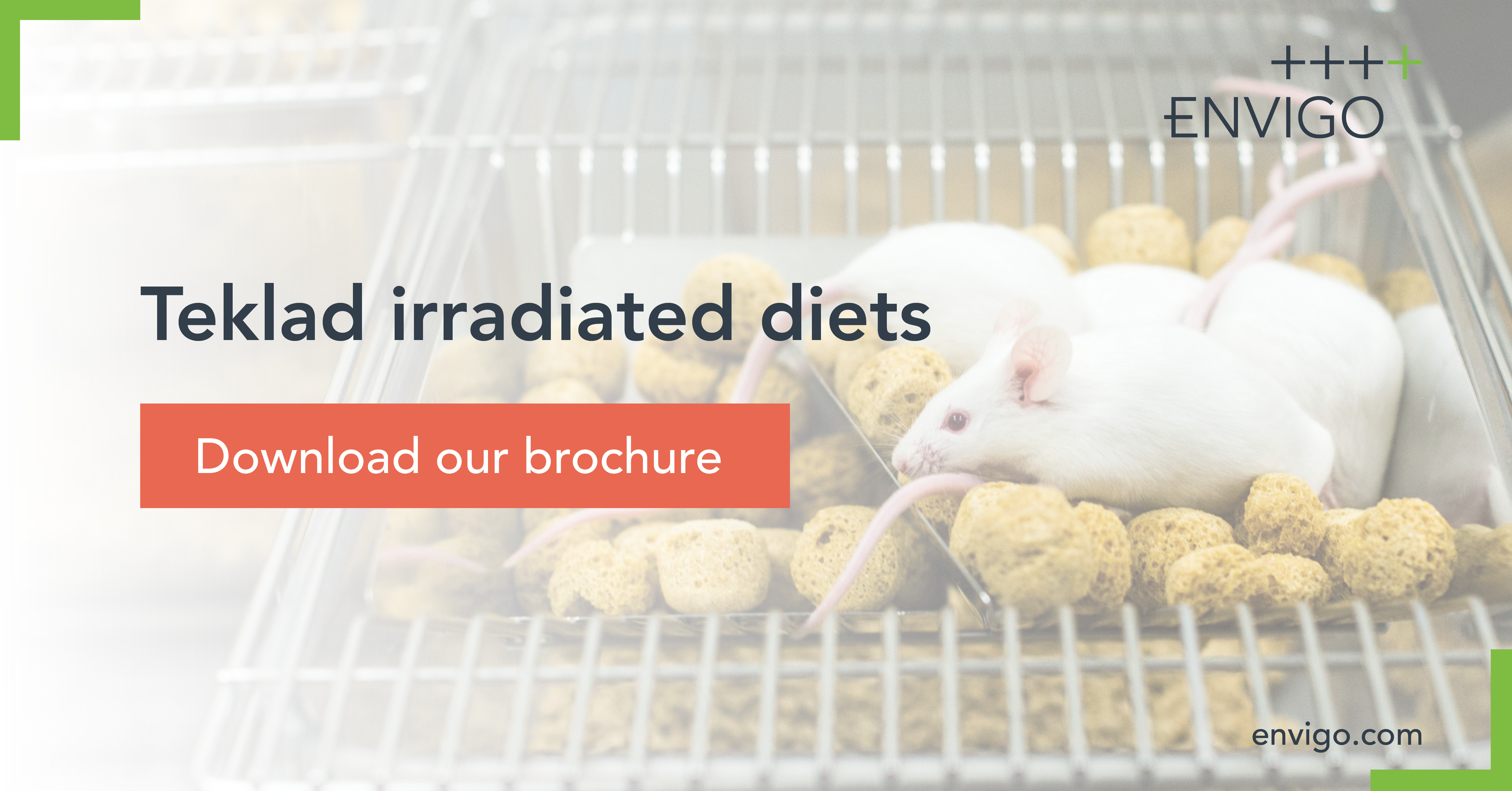 Is Your Food Irradiated?  The Surprising Answer... - m1zw1jz